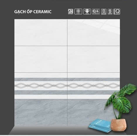 Gạch ốp tường 30x60cm Hoàn Mỹ-4360